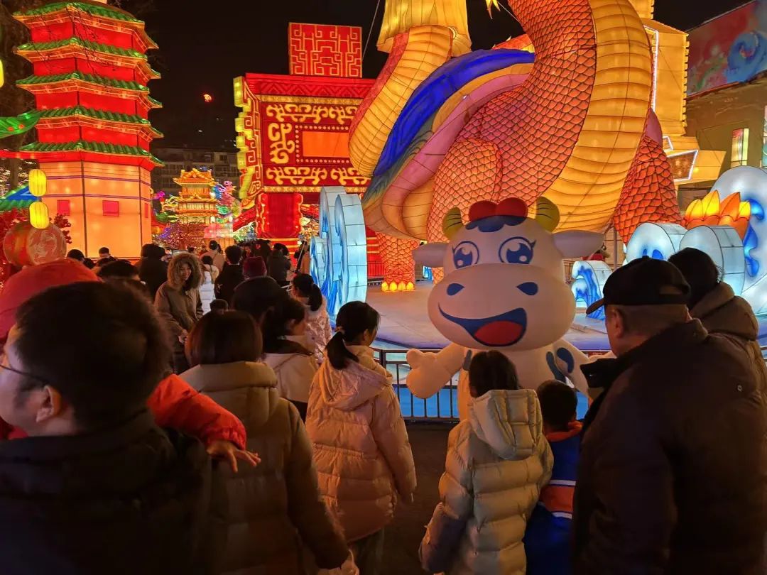 央視直播鄭州龍年燈會迎新春，花花牛品牌上大分