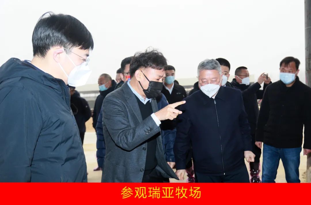 新年開新局 合作促發(fā)展丨佳木斯市委常委、副市長(zhǎng)閆志剛一行蒞臨花花牛乳業(yè)集團(tuán)及佳田企業(yè)考察座談