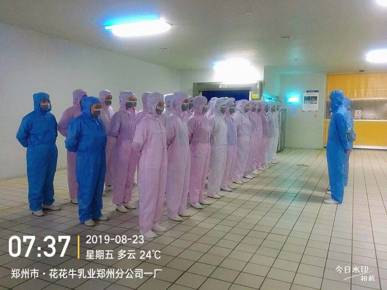 小晨會·大能量——砥礪奮進(jìn)的花花牛，加油！