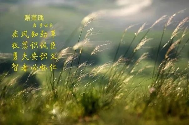 花花牛 | 疾風(fēng)來(lái)臨，你是不是勁草？