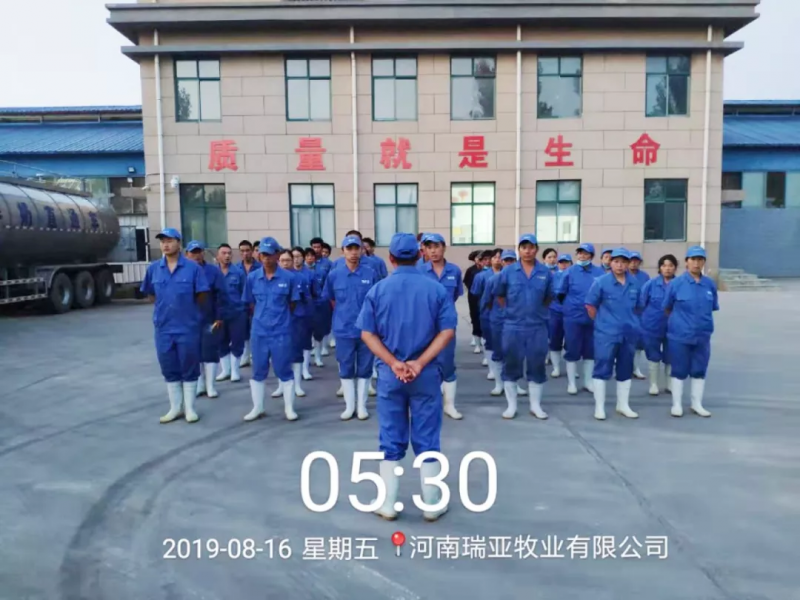 小晨會(huì)·大能量——砥礪奮進(jìn)的花花牛，加油！